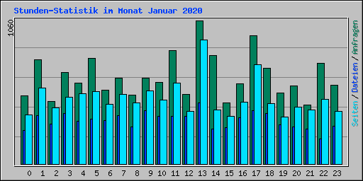 Stunden-Statistik im Monat Januar 2020