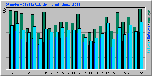 Stunden-Statistik im Monat Juni 2020