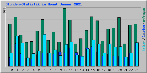 Stunden-Statistik im Monat Januar 2021