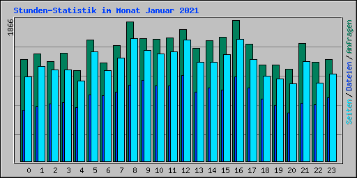 Stunden-Statistik im Monat Januar 2021