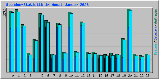 Stunden-Statistik im Monat Januar 2026