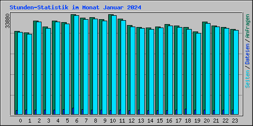 Stunden-Statistik im Monat Januar 2024