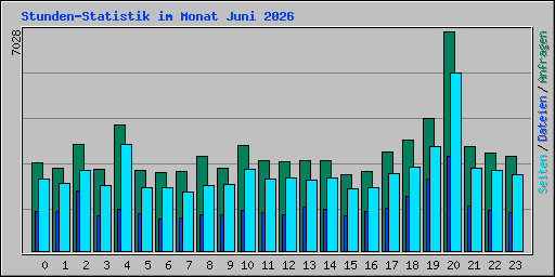 Stunden-Statistik im Monat Juni 2026